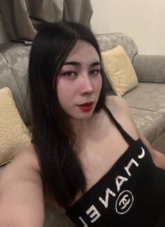 Nuttapong Ladyboy - Transsexual escort in Muscat Photo 7 of 12