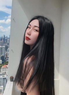 Nuttapong Ladyboy - Transsexual escort in Muscat Photo 10 of 12