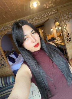 Nuttapong Ladyboy - Transsexual escort in Muscat Photo 11 of 12