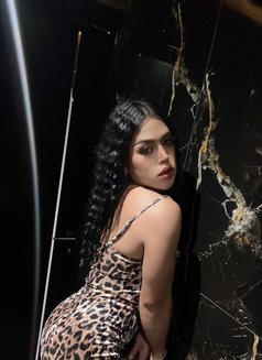 🧿🧿Nutty🧿🧿 ladyboy Thailand - Acompañantes transexual in Abu Dhabi Photo 14 of 14