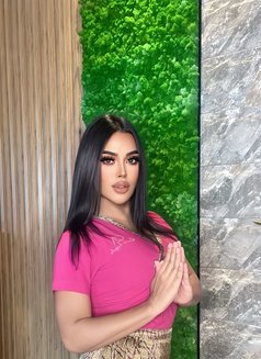 VIP 🧿Nutty🧿 ladyboy Thailand - Transsexual escort in Abu Dhabi Photo 3 of 11