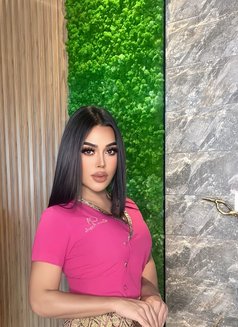 VIP 🧿Nutty🧿 ladyboy Thailand - Transsexual escort in Abu Dhabi Photo 1 of 11