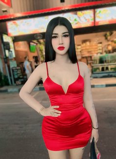Nutty Samui - Acompañantes transexual in Ko Samui Photo 1 of 19