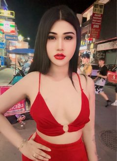 Nutty Samui - Acompañantes transexual in Ko Samui Photo 6 of 19