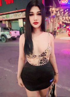Nutty Samui - Acompañantes transexual in Ko Samui Photo 7 of 19