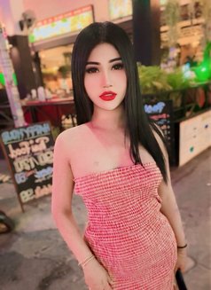 Nutty Samui - Acompañantes transexual in Ko Samui Photo 10 of 19