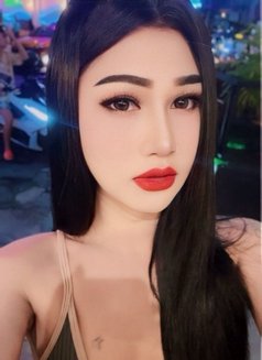 Nutty Samui - Acompañantes transexual in Ko Samui Photo 11 of 19