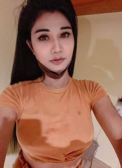 Nutty Samui - Acompañantes transexual in Ko Samui Photo 13 of 19