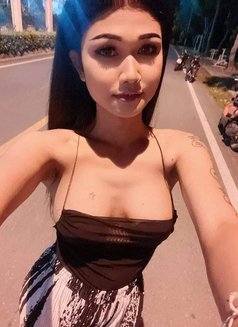 Nutty Samui - Acompañantes transexual in Ko Samui Photo 17 of 19