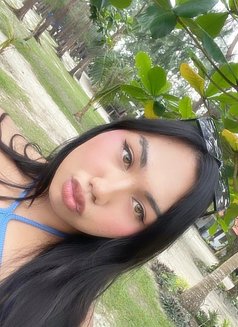 Ny Xxx - Transsexual escort in Manila Photo 1 of 5