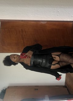 Nyi - escort in Chiang Mai Photo 1 of 1