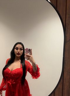 Nyx new - escort in Dammam Photo 13 of 14