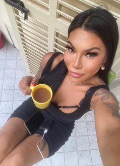 Ladyboy Filipina Mandy - Transsexual escort in Malta Photo 17 of 24