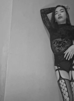 Dominatrix Vixy—Rare. Reserved. Ruthless - Dominadora transexual in Singapore Photo 3 of 6