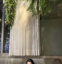 Mistress Vixy Invitation-Only Access - Dominadora transexual in Singapore