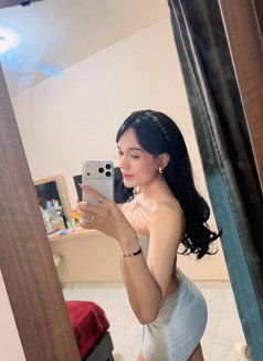 OF THE QUEEN BIG DICK DOM - Transsexual escort in Bali Photo 10 of 10