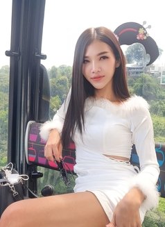 Meya BigK like both - Transsexual escort in Bangkok Photo 15 of 16