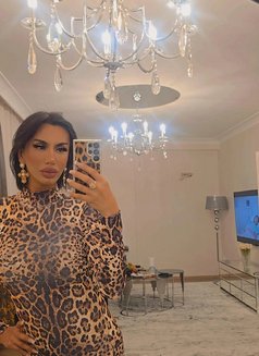Olala XL - Acompañantes transexual in İstanbul Photo 15 of 15