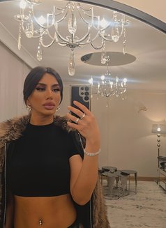 Olala XL - Acompañantes transexual in İstanbul Photo 19 of 19