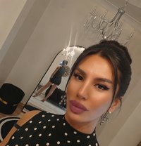 Olala XL - Acompañantes transexual in İstanbul