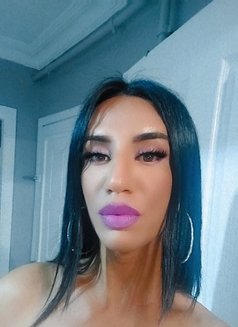 Olala XL - Transsexual escort in İstanbul Photo 13 of 13