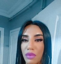 Olala XL - Transsexual escort in İstanbul