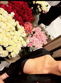 Olele - Transsexual escort in Amman Photo 6 of 6