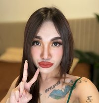 Ladyboy big cock - Transsexual escort in Khobar