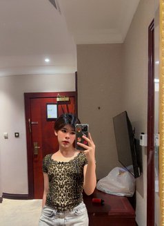 Oliv - Transsexual escort in Doha Photo 1 of 1