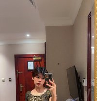Olive - Acompañantes transexual in Doha