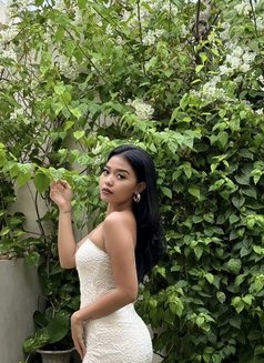 OLIVE IN CANGGU - escort in Bali Photo 7 of 7