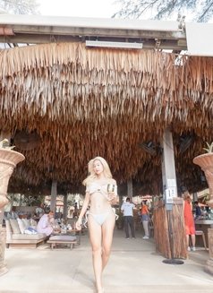 Olive オリーブ🫒 - escort in Bangkok Photo 4 of 9