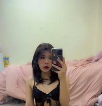 Olive - Acompañantes transexual in Doha