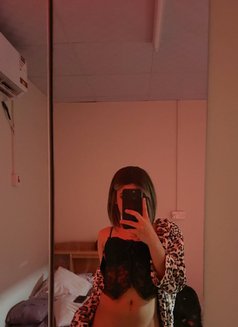 Olive - Transsexual escort in Doha Photo 5 of 5