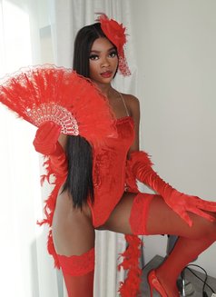 Olivia,Deepthroat PRO,Rim,Cim,nuru. - escort agency in Dubai Photo 23 of 23