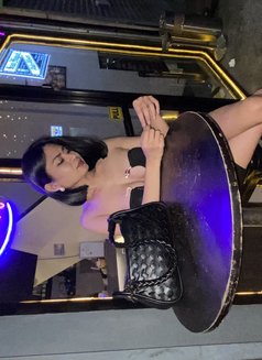 Olivia - Acompañantes transexual in Manila Photo 9 of 13