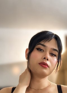 Olivia - Transsexual escort in New Delhi Photo 9 of 11