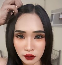 Erina Thailand 🇹🇭 - Transsexual escort in Doha