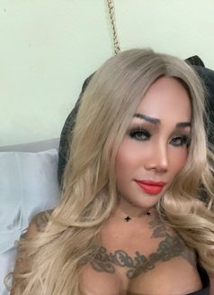 Olivia Thailand Lady Boy - Acompañantes transexual in Ko Samui Photo 22 of 23