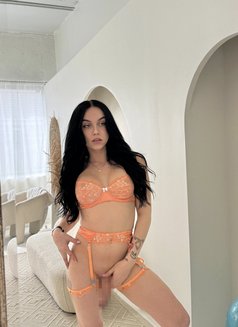 Oliviatgirl - Acompañantes transexual in Lamia Photo 1 of 5