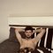 Nurxan XL - Male escort in İstanbul Photo 1 of 11