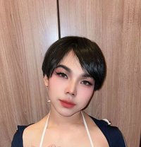Om Mi - Acompañantes transexual in Riyadh