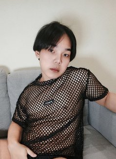 Om Mi πΉππΈπ¦ - Transsexual escort in Riyadh Photo 14 of 16
