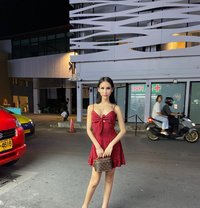 Omie - Dominadora transexual in Phuket