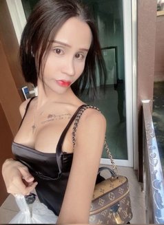 Omie - Transsexual dominatrix in Phuket Photo 6 of 6