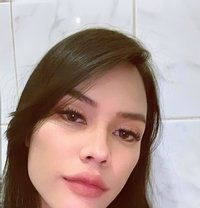 OnlySapphire - Transsexual escort in Bangkok