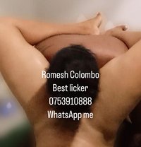 Colombo experience licker & Bull service - Male escort in Colombo