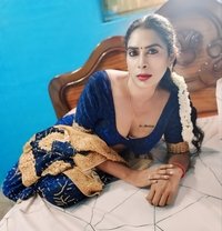 Online Arabian Kuthirai for Video Call - Transsexual escort in Chennai