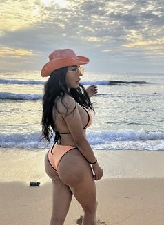 Elite Courtesan:Online Service - Acompañantes transexual in New Delhi Photo 24 of 30