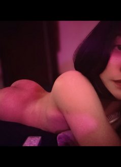 Only bottom - Transsexual escort in Doha Photo 2 of 3